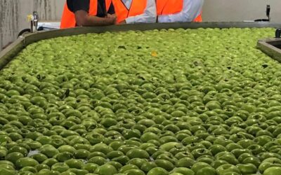 Locals Urged to Help Stop Labor’s Fresh Food Tax