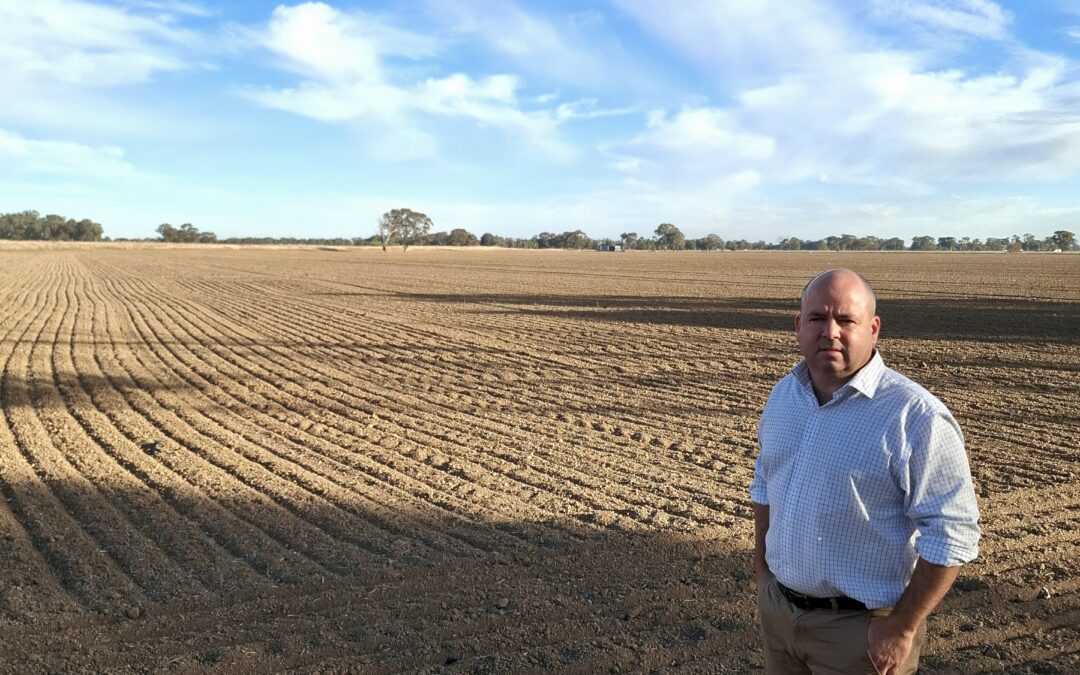 Dry Times for Nicholls Farmers