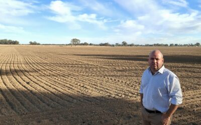 Dry Times for Nicholls Farmers