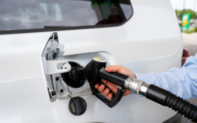 Interest-free loans needed for agriculture amid fuel crisis