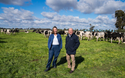 DUTCH AMBASSADOR VISIT HIGHLIGHTS NICHOLLS’ AGRICULTURAL STRENGTH, TRADE LINKS AND COMMUNITY TIES