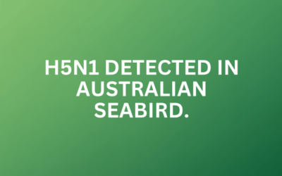 H5N1 DETECTED IN AUSTRALIAN SEABIRD